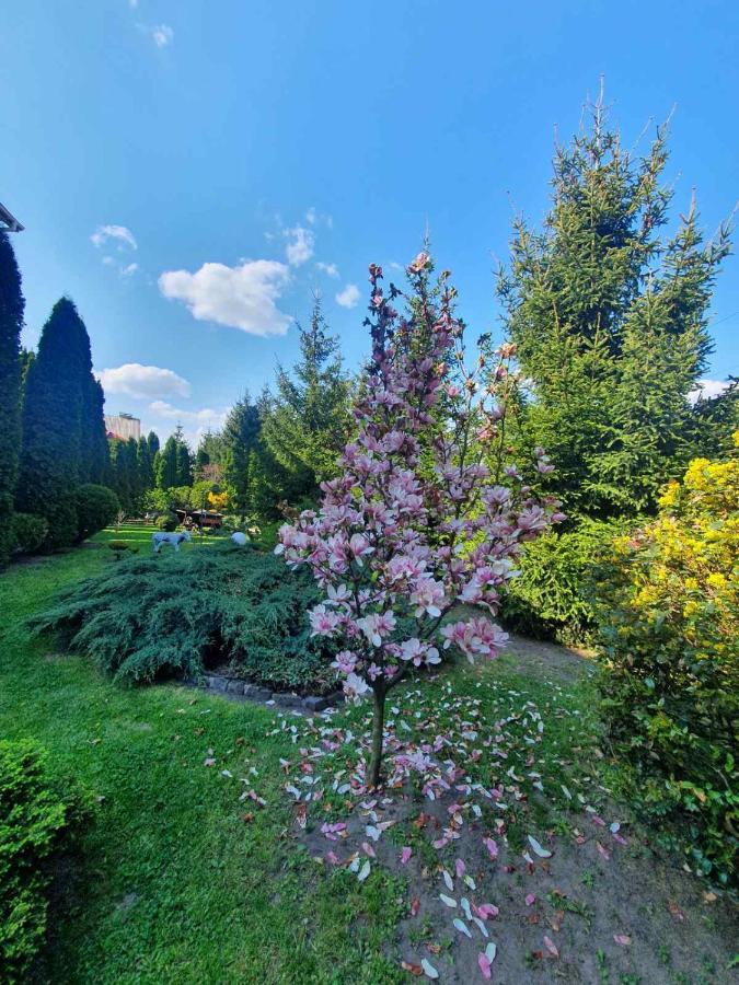 Дом Для Души С Бассейном Целиком Hotel Vinnicja Kültér fotó
